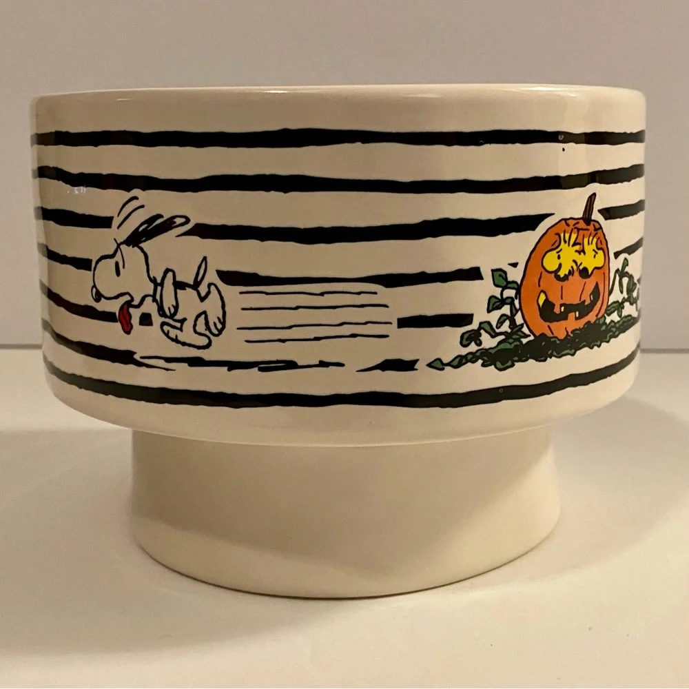 NWOT Rae Dunn Peanuts Dog Bowl Featuring Snoopy and Woodstock